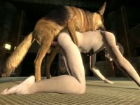 Gay beastiality porn with dog's huge cock